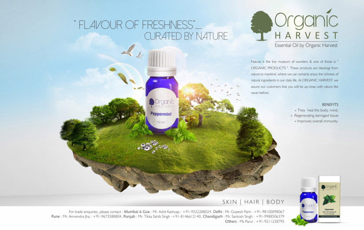 coffee_and_creative_0001